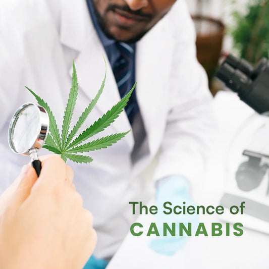 The Science of Cannabis: How We Ensure Medical Grade Quality in Our Products